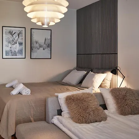Cozy Apartment Near Arktikum & City Center